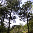 재실농장 이미지