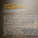 완도21호 티스토리