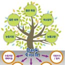 다크서클(dark circle) 감추는 데 효과적인 식품 이미지