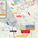 숲속의아침2 이미지