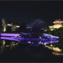 수원-0811 이미지