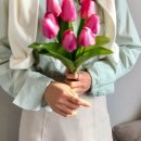 데일리 딜라잇
