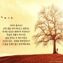 초막 이미지