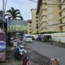 6325 | 보홀맛집 Garlic 'n lemon bistro 갈릭앤레몬비스트로 갈릭레몬씨푸드 후기