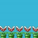 꽃길만걷자 이미지