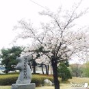 여주관광진흥원 이미지