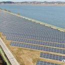 세운태양광발전소 이미지