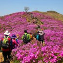 2023년4월30일 일요일 경남 합청군 황매산 철쭉제 트레킹 추진합니다 이미지