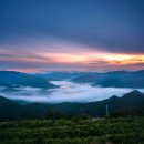 바람이 좋은 저녁 이미지