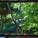 동양목초 이미지