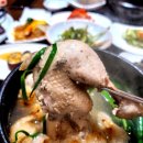 이장네오리 | 심학산 삼계탕 정식 사찰음식 반찬 깔끔하게 잘하는집 이장님밥상 내돈내산 솔직후기