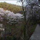 경서중학교 이미지