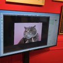 배뙈지 | [천안 불당동] 증명가족사진관 '레드셔터' 반려동물 촬영 후기