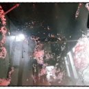 대구오토 이미지