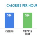 영대 복싱 체육관 이미지