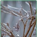 강남한의원 이미지