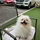 효령로68길 104 이미지