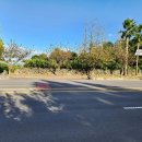 남원읍-4 이미지