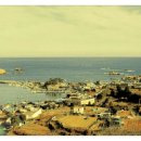 장기로65번길 이미지