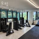 모두온핏 이미지