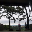 조안베어뮤지엄 이미지