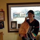 푸르메가살고있는곳 이미지