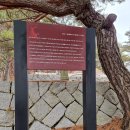 서인충 장군묘소 이미지