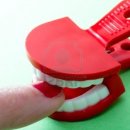 김앤정치과의원 이미지