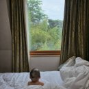 경북 울진 LG생활연수원 2일차 백암온천 한식당 양식당 부대시설 이용 후기