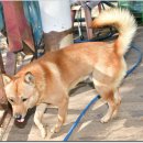 광탄한의원 이미지