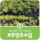 호명호수(제1주차장) | [가평 호명호수길] 신록으로 뒤덮인 호명호수 올라가는 길 후기(2026)