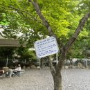 영월천문대 캠핑장 이미지