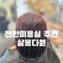 다원 | 천안미용실 추천 쌍용동미용실 살롱다원 염색 후기