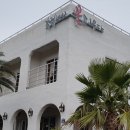 강정2442 꽃피우다 이미지