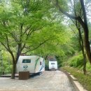 달천계곡 오토캠핑장 이미지