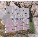 작천정5(잔디광장) 이미지