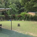 산수촌민박 이미지