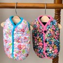 허니애견 이미지