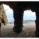 사구해수욕장2 이미지