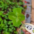 사명대사공원 연회실+접견실 | 김천 애견동반 가을 여행 사명대사공원 평화의 탑