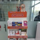 세마약국 이미지