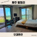 단겸 | 제주도 월정리 가성비 숙소 단겸펜션 뷰 좋고 해수욕장 5분 거리