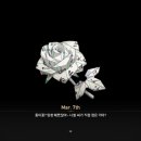 선주로-6 네이버블로그