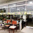 대원돈장군 이미지