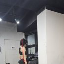 택짐피티샵 이미지