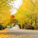 공주교도소부속의원 이미지