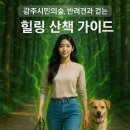 구덕산책로 숲길 | 광주시민의숲 반려견 산책로 완벽 가이드 - 반려견과...도심 속 힐링 산책, 광주시민의숲을 소개합니다