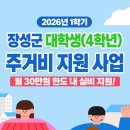 장성