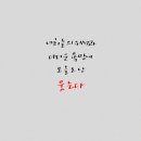 김언니