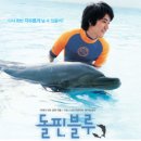 돌핀블루 이미지